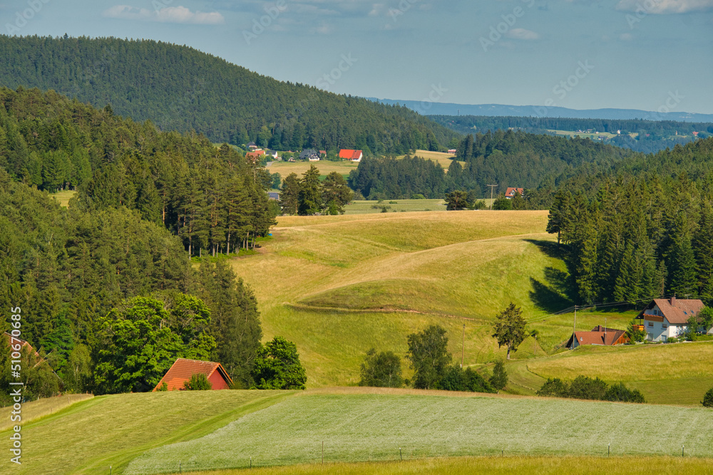 Obraz premium Landschaft bei Lauterbach im Sulzbachtal im Schwarzwald
