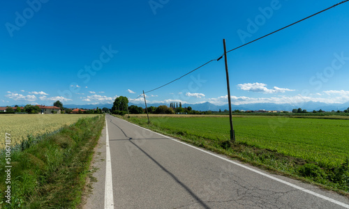 Country road with telephone line with wooden poles over blue sky, countryside of the plain of the province of Cuneo, Italy