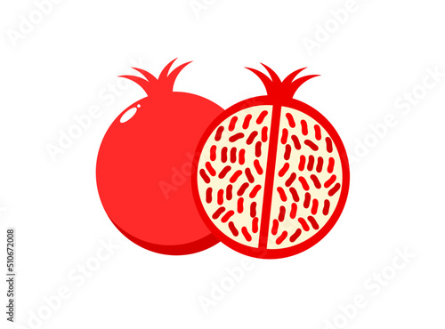 Pomegranate illustration. Pomegranate fruit vector.