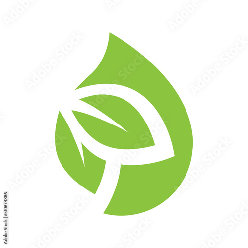 green leaves inside drop, vector logo icon