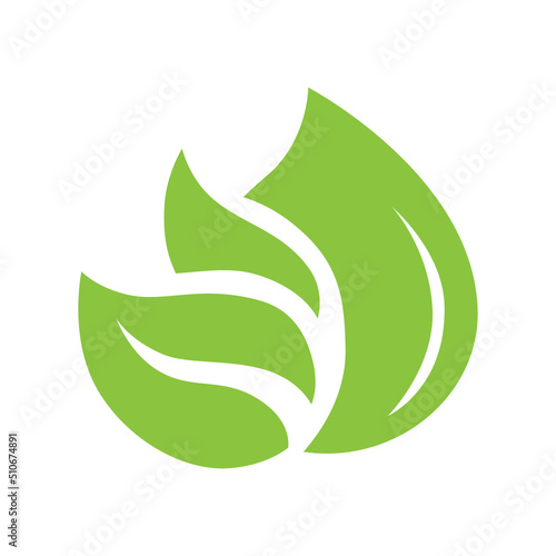 green leaves and drop, vector logo icon