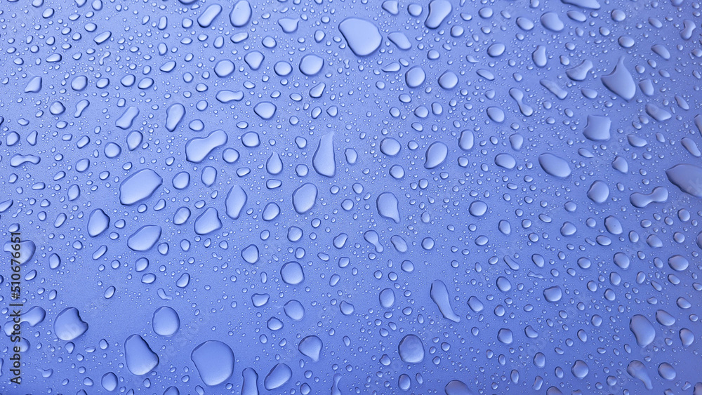 A drop of water on the hood of the car. Water balls after rain or car wash on the surface of purple paint A drop of water on the hood of the car. Water balls after rain or car wash on the surface of purple paint