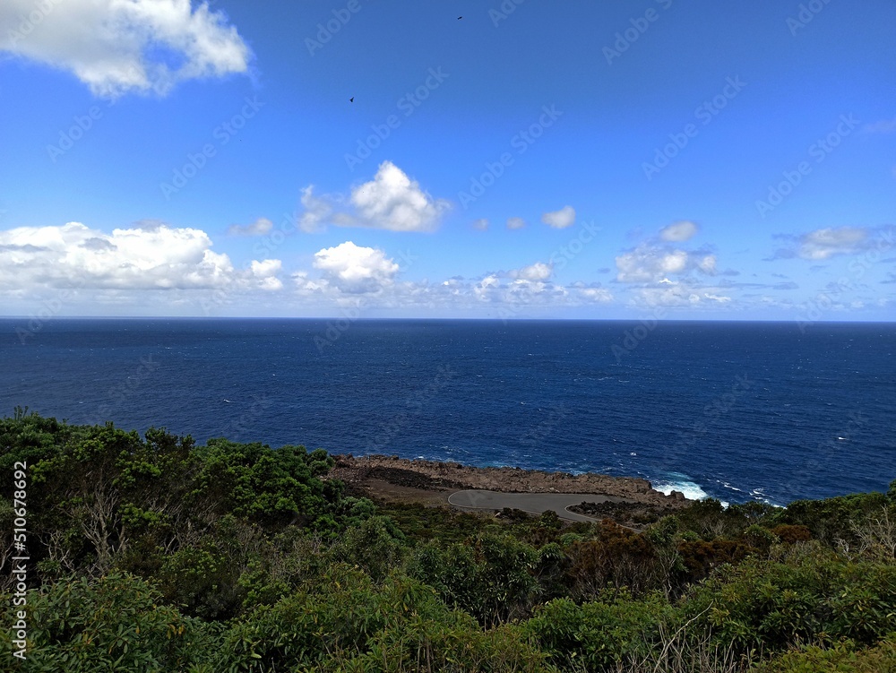 Views from Terceira Island towards the ocean through and through the vegetation