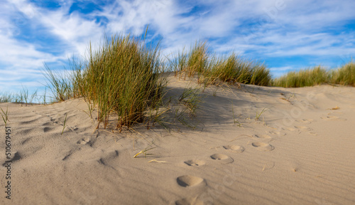 sand dunes and footprints at the north sea in netherlands