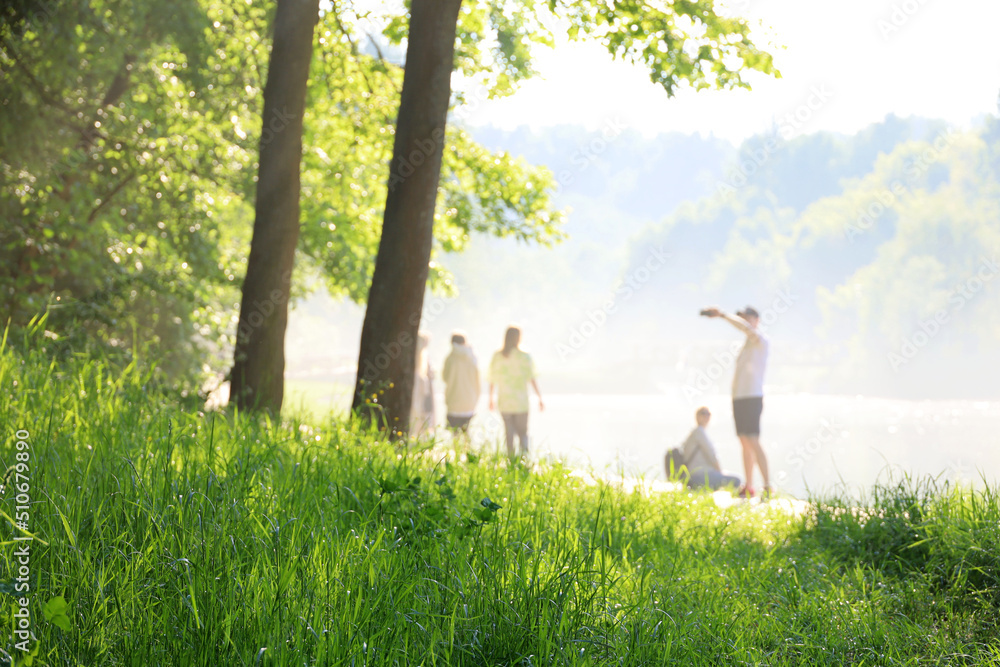 View through wet grass to summer park with people in sunlight. Sunny day after rain with soft colors of nature View through wet grass to summer park with people in sunlight. Sunny day after rain with soft colors of nature