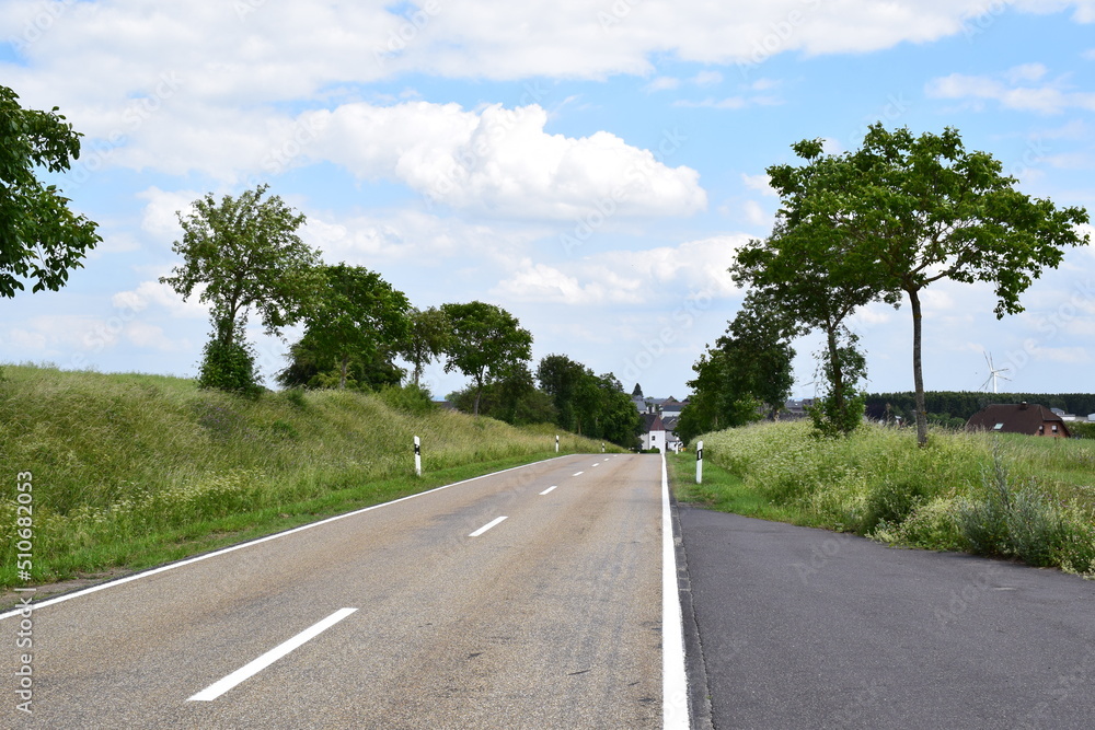 Allee in ein Eifeldorf