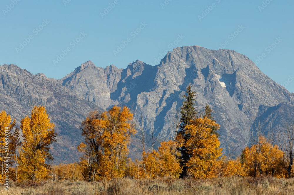 Fototapeta premium Scenic Teton Landscape in Autumn