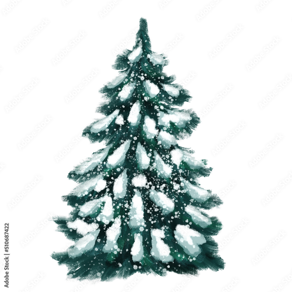 Fir tree with snow. Illustration, isolated on white.