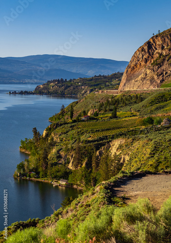 Fotografía Summer Winery view of Kelowna vineyards surrounding Lake Okanagan with mountains