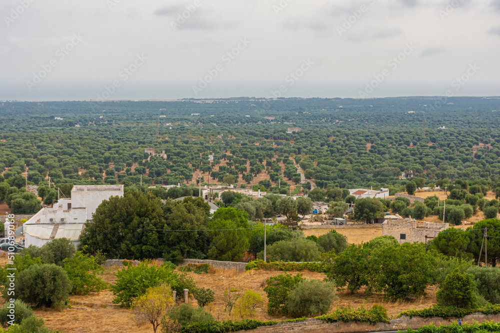 Landscape of the Apulia countryside from Ostuni Italy