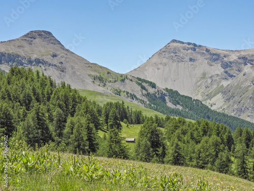 Paysage de montagne dans les Alpes du Sud