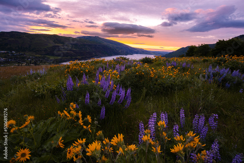 Fototapeta Naklejka Na Ścianę i Meble -  sunrise over the Columbia River Gorge