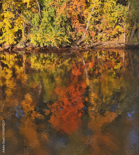 Fototapeta Naklejka Na Ścianę i Meble -  autumn trees with reflection in river