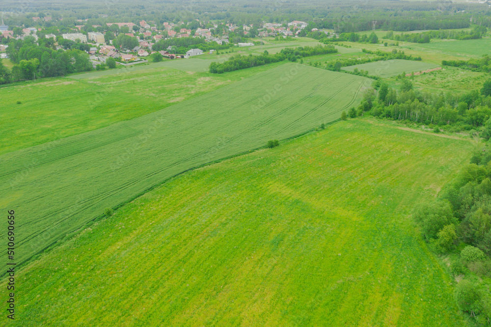Rozległy, płaski teren pokryty zielonymi polami uprawnymi i łąkami. Widać polną drogę, kępy drzew, w oddali zabudowania pobliskiej miejscowości. Widok z wysokości, zdjęcie zrobione z użyciem drona.