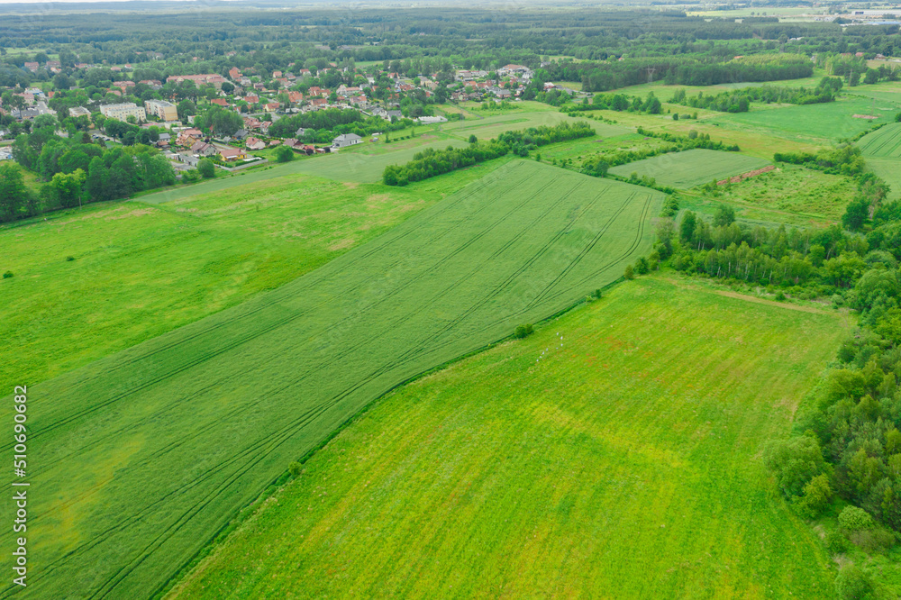 Rozległy, płaski teren pokryty zielonymi polami uprawnymi i łąkami. Widać polną drogę, kępy drzew, w oddali zabudowania pobliskiej miejscowości. Widok z wysokości, zdjęcie zrobione z użyciem drona.