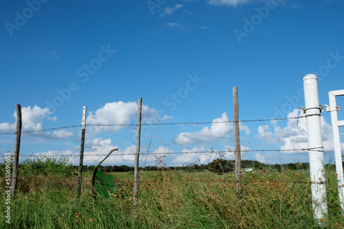 Rural Texas country landscape with sunny blue sky and clouds, barbed wire field fence.