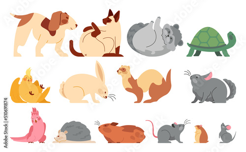 Cute cartoon pets set. Funny adorable domestic animal in different poses