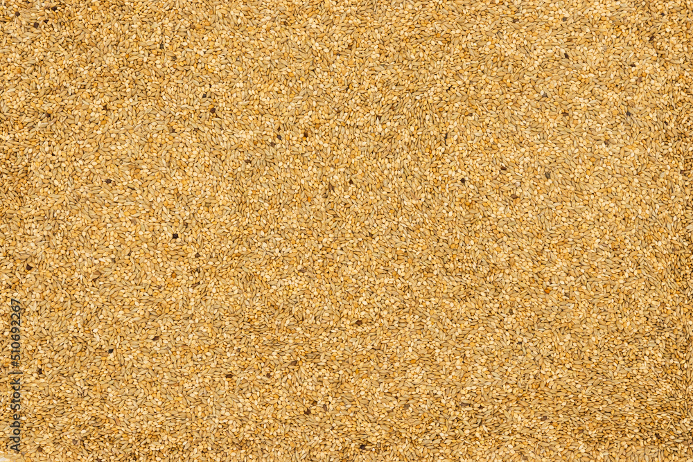 Texture background with seeds Texture background with seeds