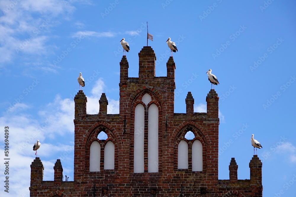 Weißstörche auf den Zinnen eines Stadttores