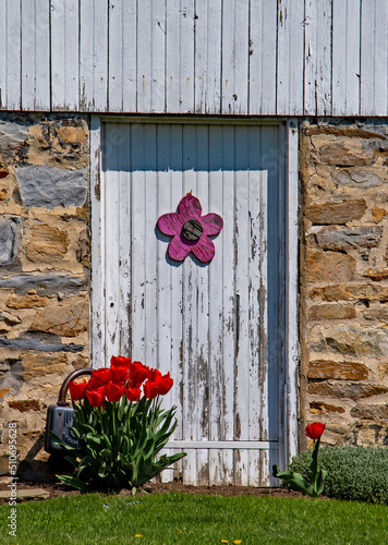 Whitewashed Door with Flower