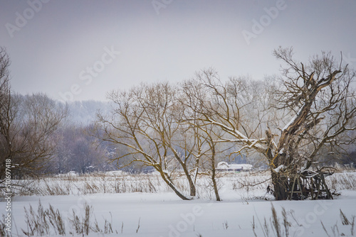 Wallpaper Mural beautiful winter landscapes of rural areas Torontodigital.ca