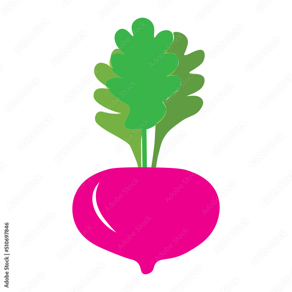 Vegetables Bundle, Vegetable Clipart, Vegetables Cut Files For Silhouette, Vegetables Vector, Food, Lemon, Corn, Tomato, Veggies, Eggplant
Vegetables Bundle, Vegetable Clipart, Vegetables Cut Files For Silhouette, Vegetables Vector, Food, Lemon, Corn, Tomato, Veggies, Eggplant