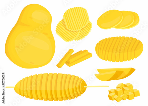 Vector isolated illustration with Set of different Cut Potato, raw or fried. Concept of Vegetable, Cooking, Agricultural Production.