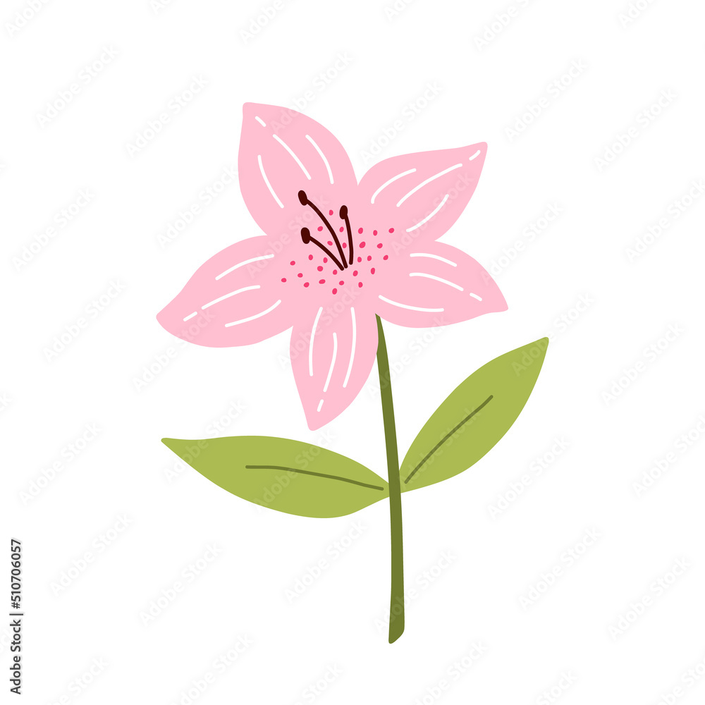Cute azalea flower with leaves isolated on white background. Vector illustration in hand-drawn flat style. Perfect for cards, logo, decorations, spring and summer designs. Botanical clipart.