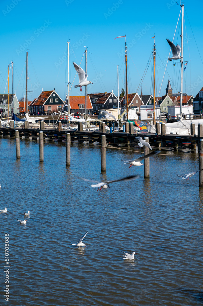 Obraz premium Walking on sunny day in small Dutch town Marken with wooden houses located on former island in North Holland, Netherlands