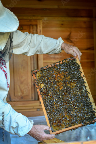 Using beekeeping tools for preparing frames with honeycombs. Beekeeper collecting honey. Selective focus.