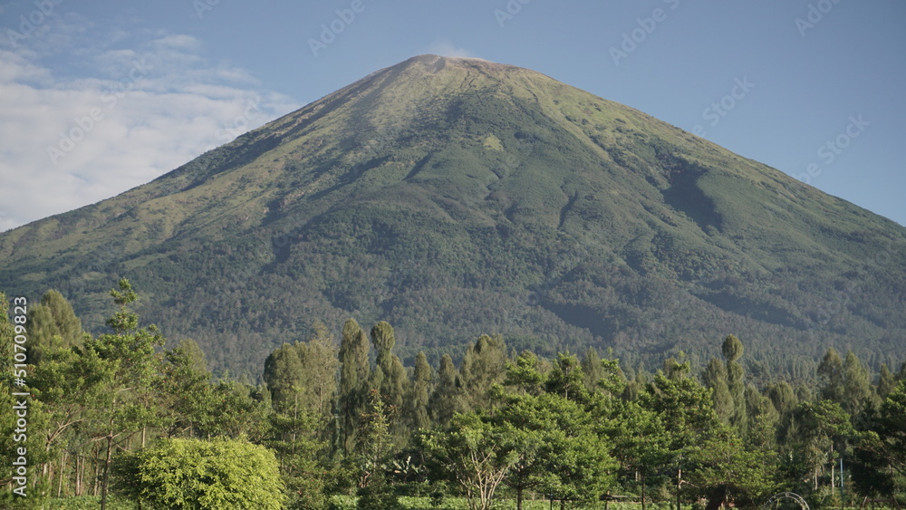 Peak of Sindoro Mountain with slightly foggy weather and blue sky with trees background