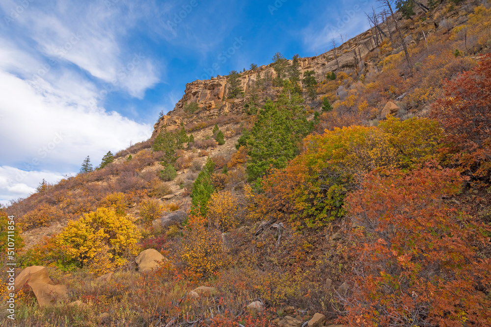 Autumn Colors on an Arid Mesa