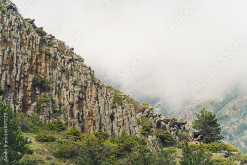Spring time. Mountains covered in trees in the cloud and fog. High quality photo