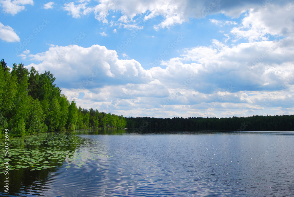 Lake in summer. Lake surrounded by forest. Ripples on the water. Large volume clouds over the water. Natural landscape.