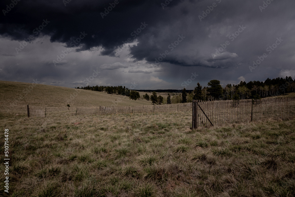 Stormy Pastures Stormy Pastures