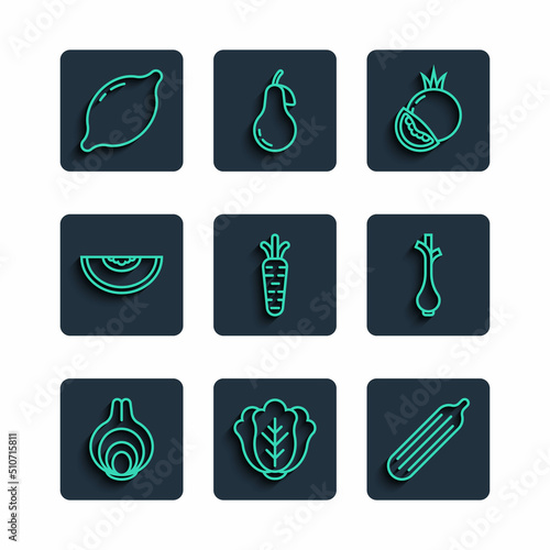 Set line Onion, Cabbage, Fresh cucumber, Tomato, Carrot, Melon fruit, Lemon and green onions icon. Vector