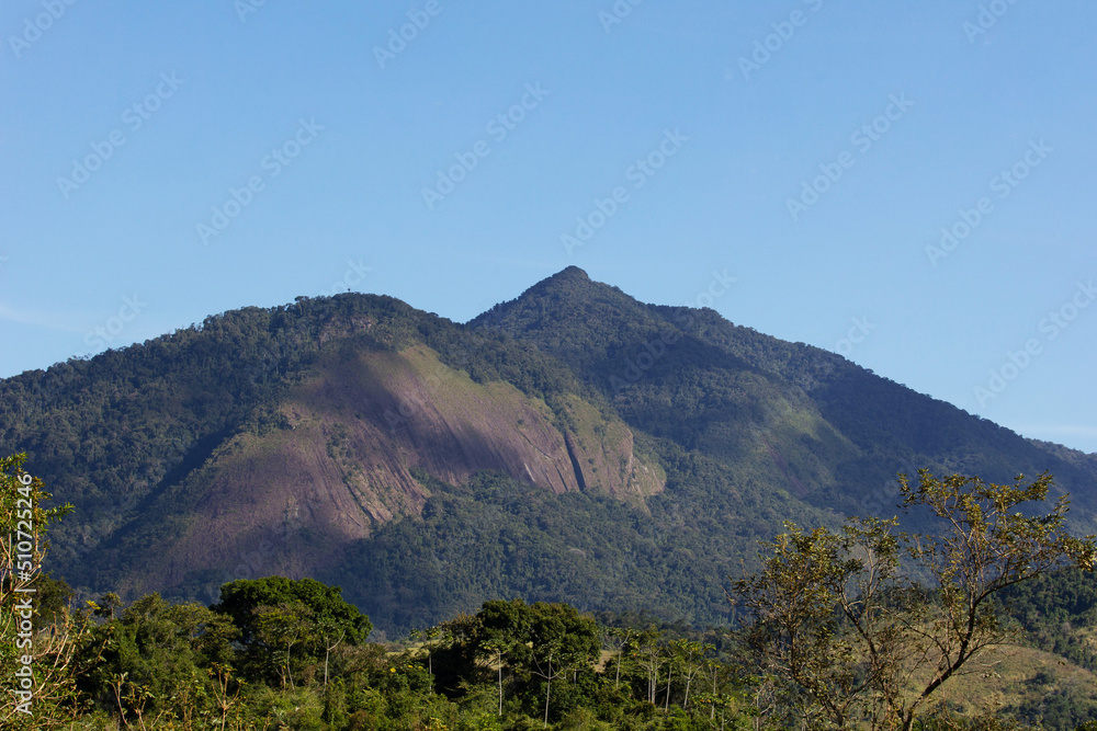 Atlantic Forest Biome. Mountain covered with trees, clear sky, sunny day, crystal clear water, blue and green. Nature beauty. Wet tropical forest. Paraty city in the state of Rio de Janeiro, Brazil.