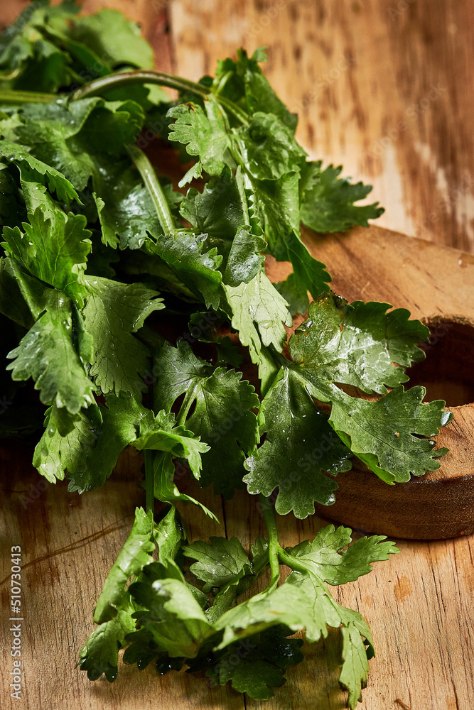 cilantro en un fondo rustico de madera con espacio para copy
