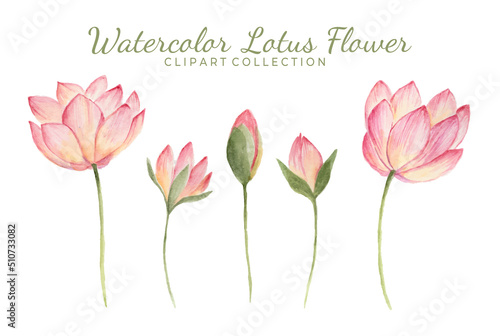 Isolated watercolor lotus flower clipart collection.
