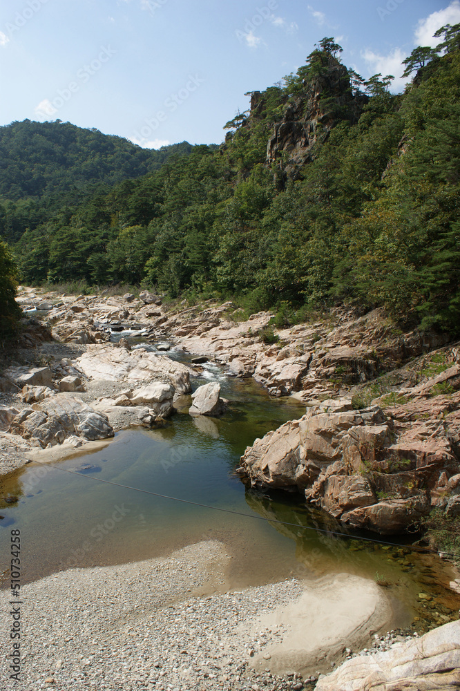 A river flows through a canyon surrounded by forest