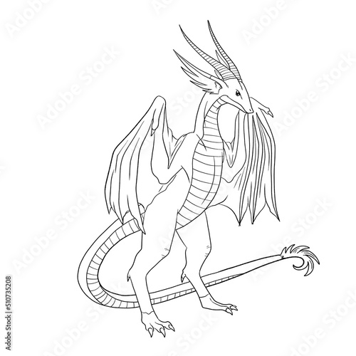 Fototapeta Naklejka Na Ścianę i Meble -  Black and white coloring page ink illustration of a dragon.