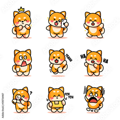 shiba inu is posing cute and adorable