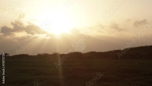 Wallpaper Mural sunrise over the field Torontodigital.ca