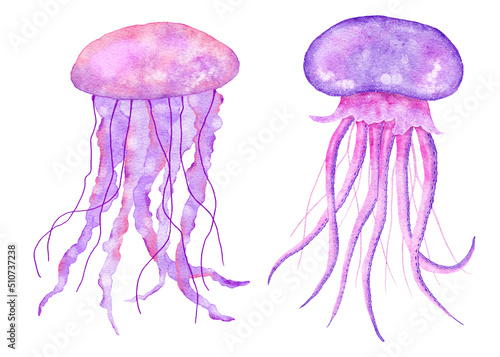 Photography Watercolor illustration of jellyfish in blue turquoise purple colors, ocean sea underwater wildlife animals