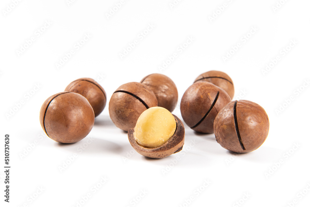 Macadamia nuts isolated on white background,Clipping path. Macadamia nuts isolated on white background,Clipping path.