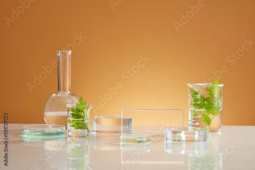 Front view of transparent podium with laboratory equipment and mugwort in brown background science content