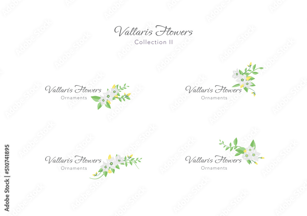spring vallaris flower ornament floral frame vector ep08
