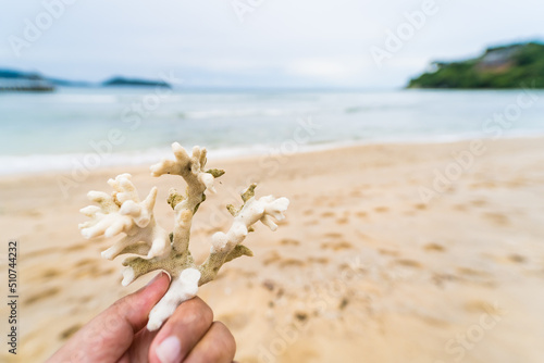 Coral reef in hand at sea shore, A white sands beach Thailand.