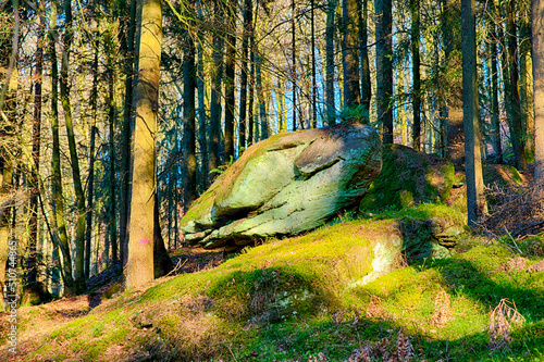 Altschlosspfad Wandergebiet bei Eppenbrunn photo