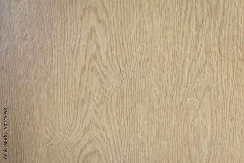 Texture of wood background